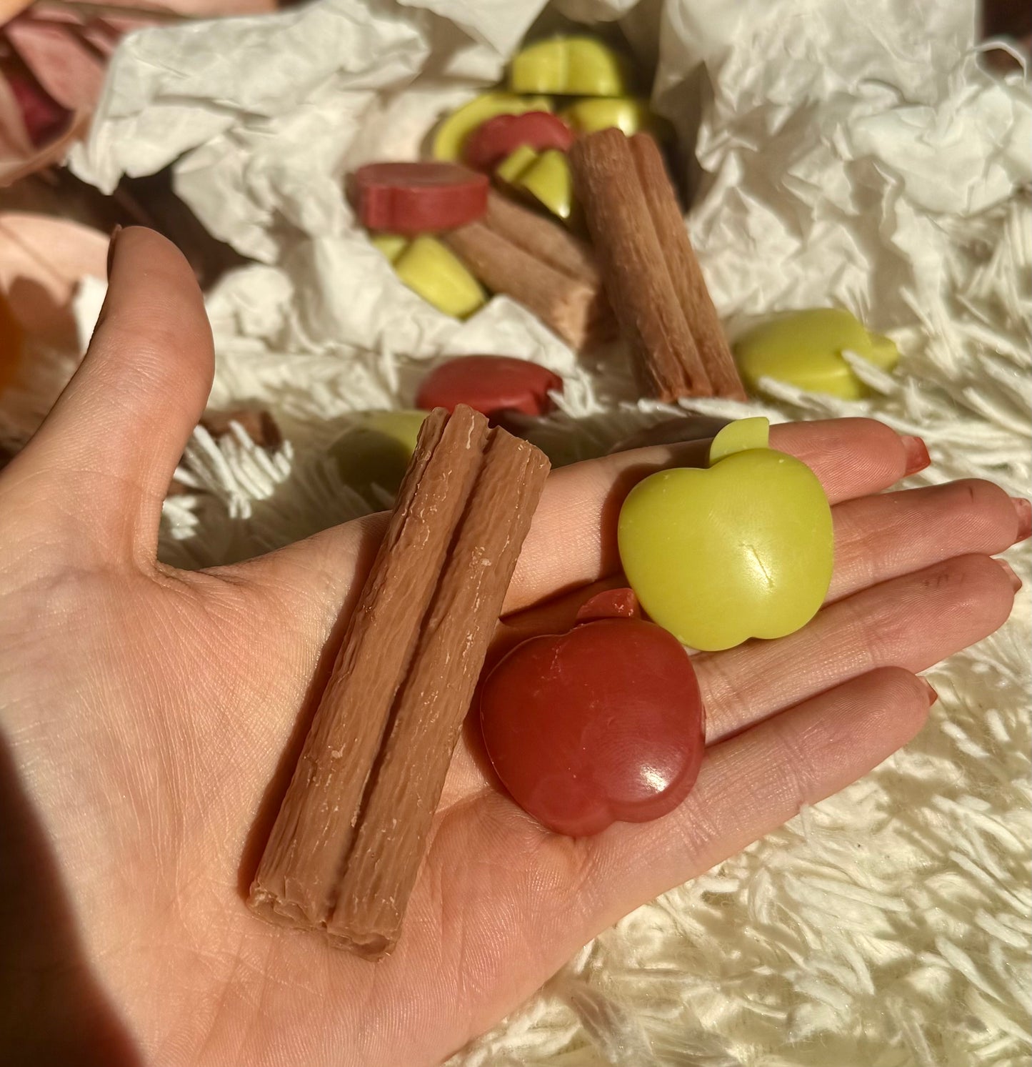 🍂Pack wax melts otoño