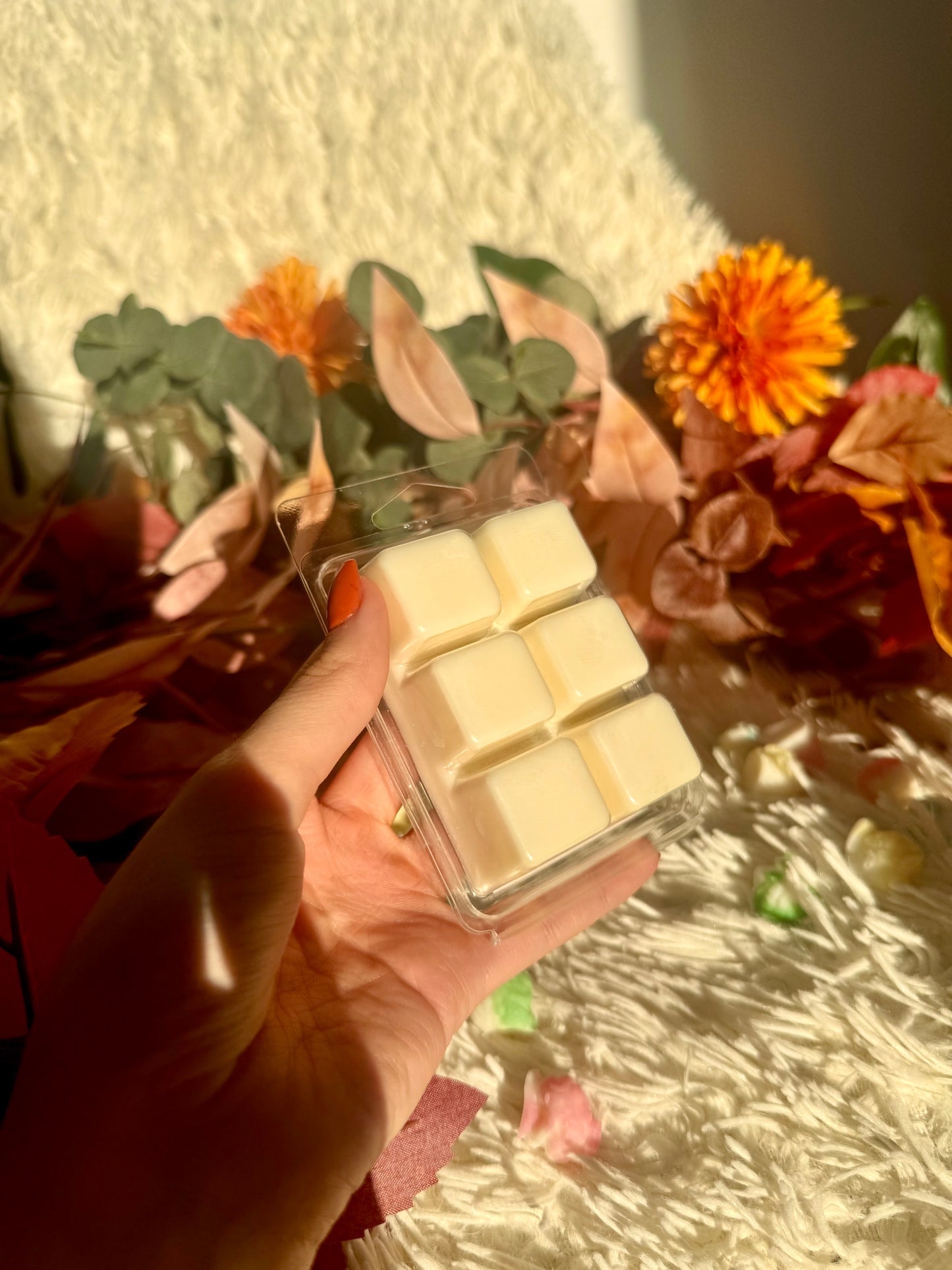 🍂Pack wax melts otoño