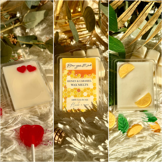 Pack wax melts GRANDES - Aromas especiales
