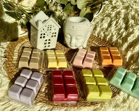 🎁 Pack completo wax melts