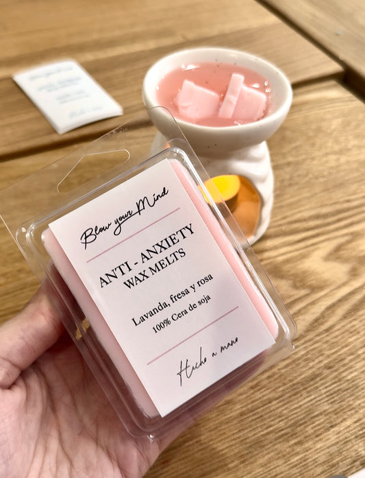 🎁 Pack iniciación wax melts
