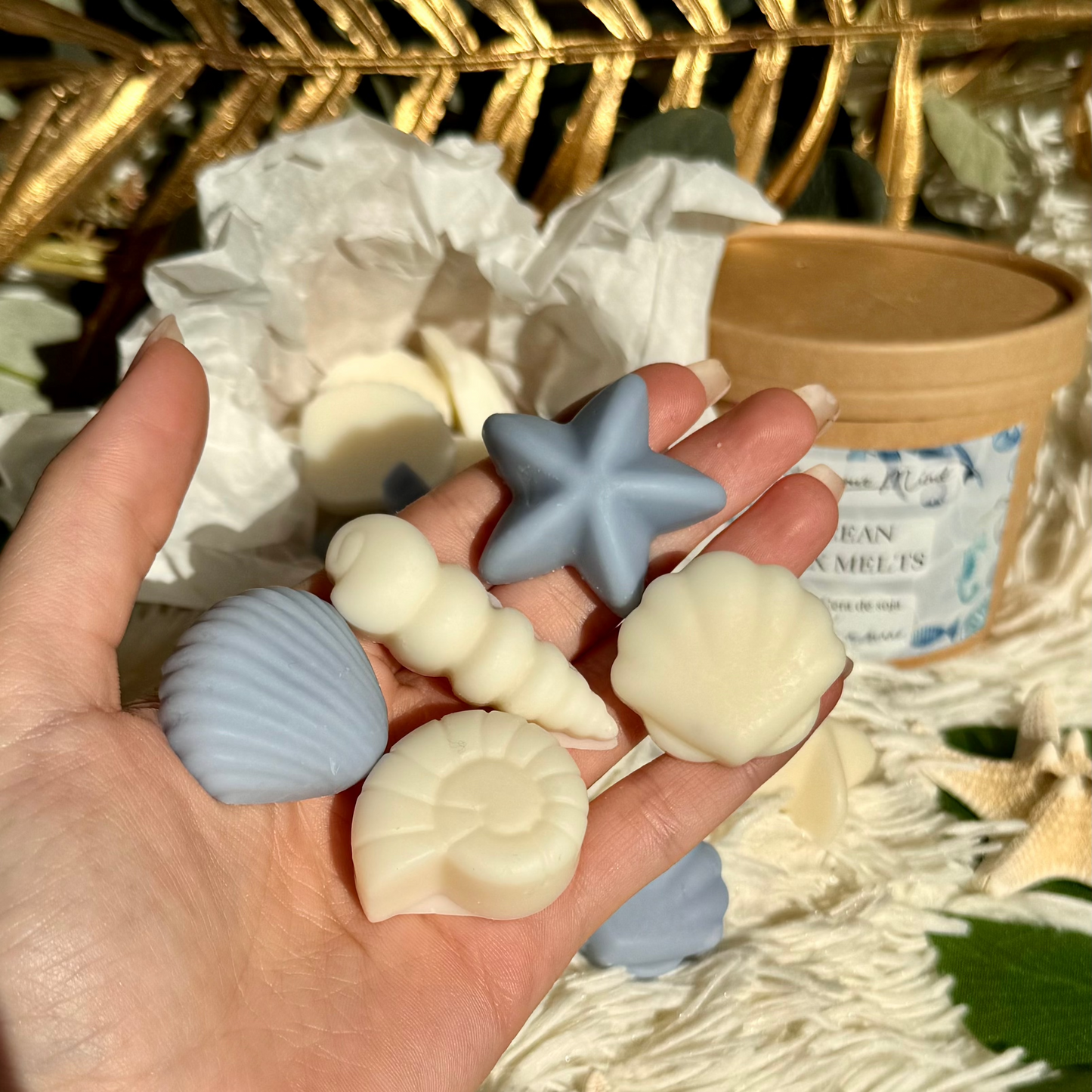 🌊 Pack Aroma de Océano