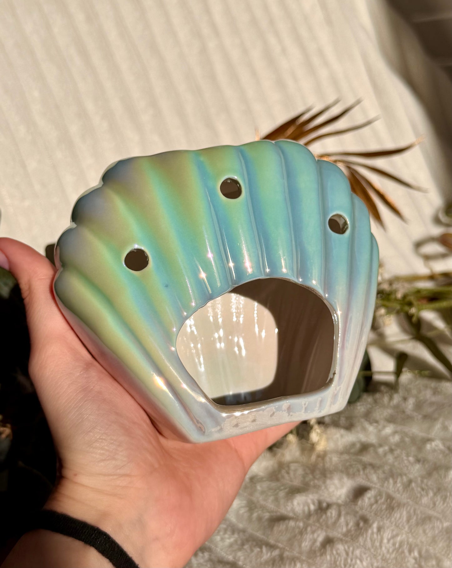 Quemador Concha Sirena