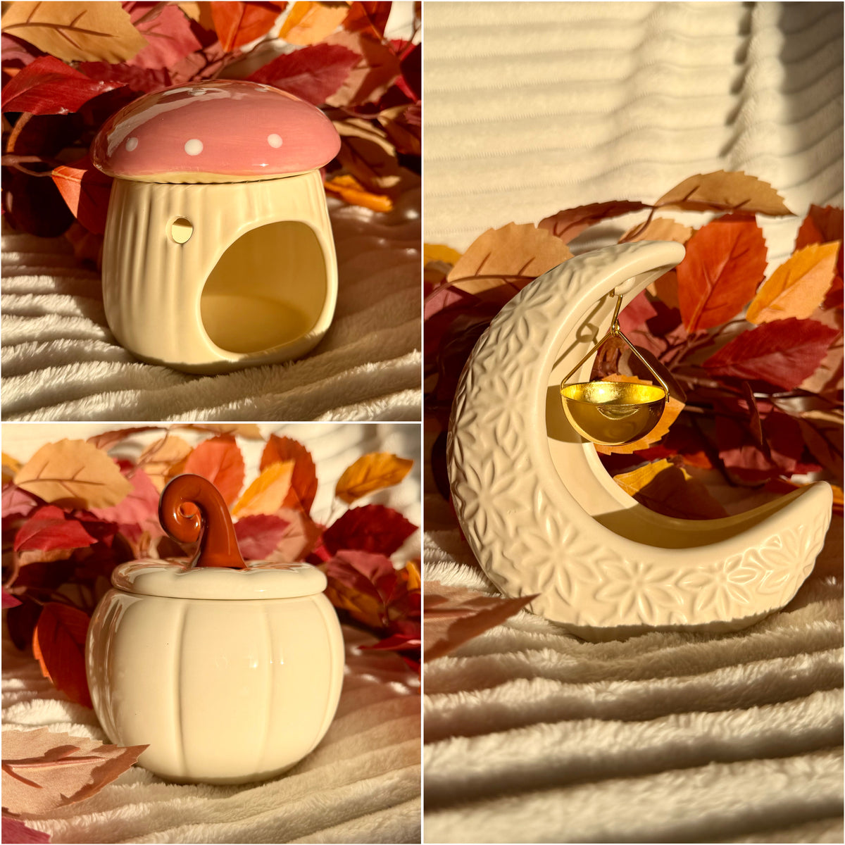 🎁 Pack Completo Colección Otoño