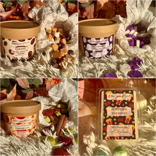 🍂Pack wax melts otoño