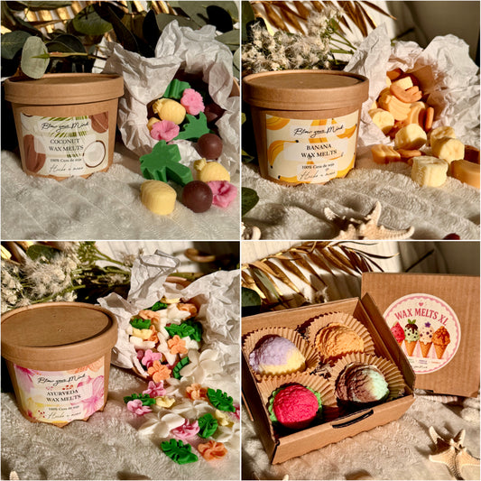 Pack Wax Melts Verano ☀️