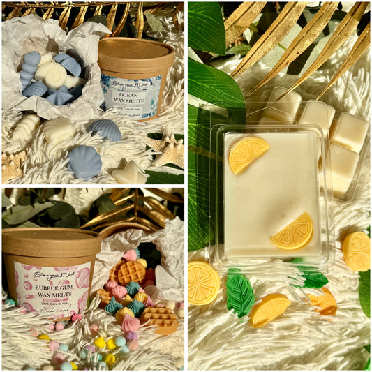 🫧 Pack Wax Melts Verano