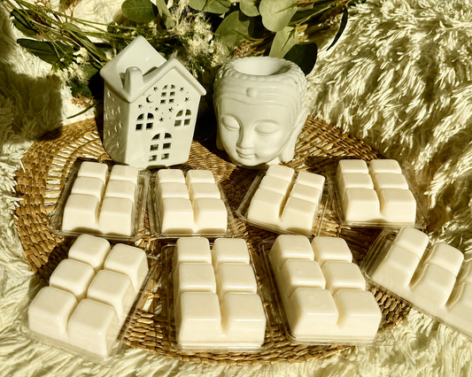 🎁 Pack completo wax melts especiales
