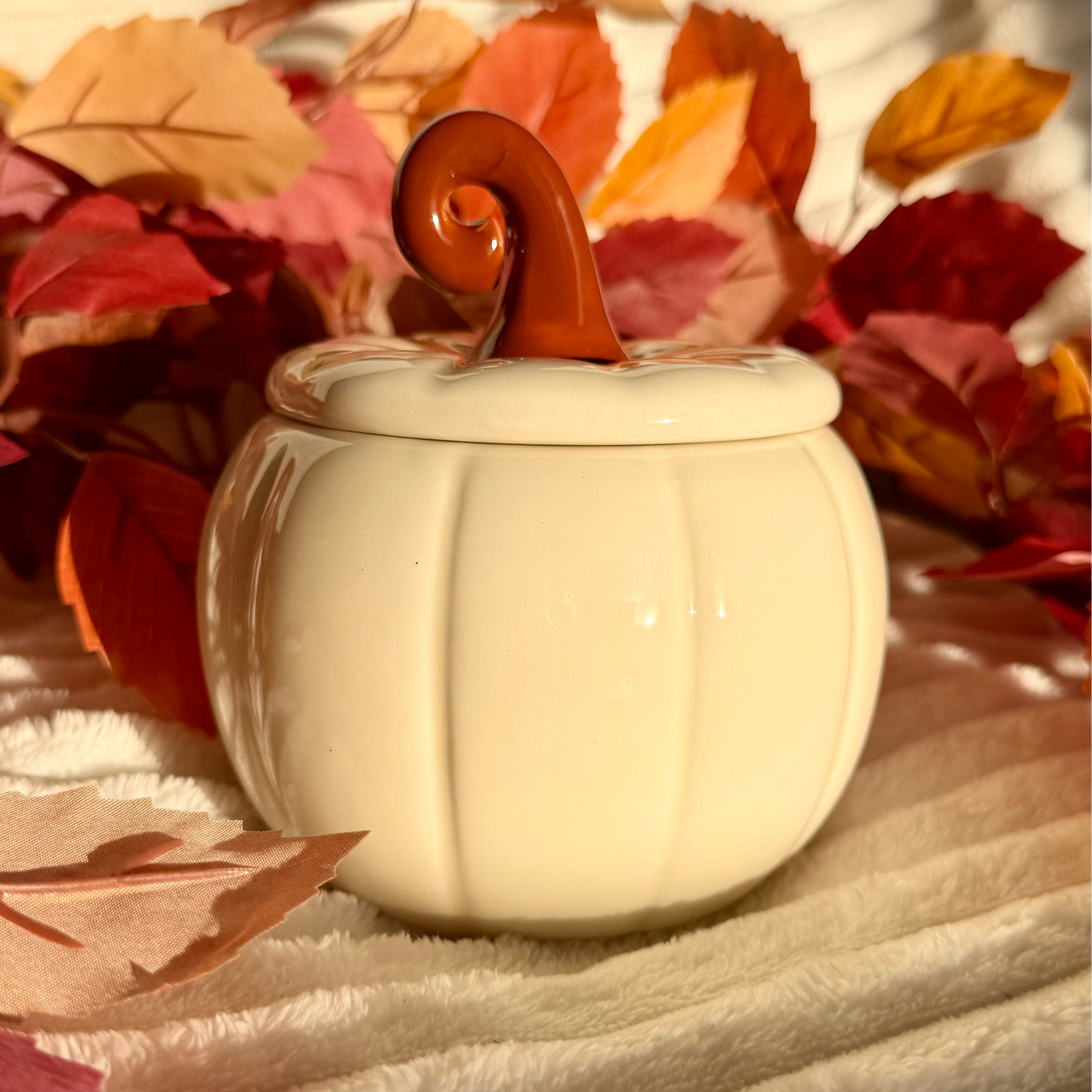 Quemador Calabaza