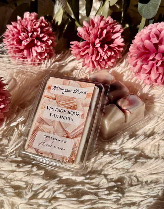 Wax Melts Libro Antiguo