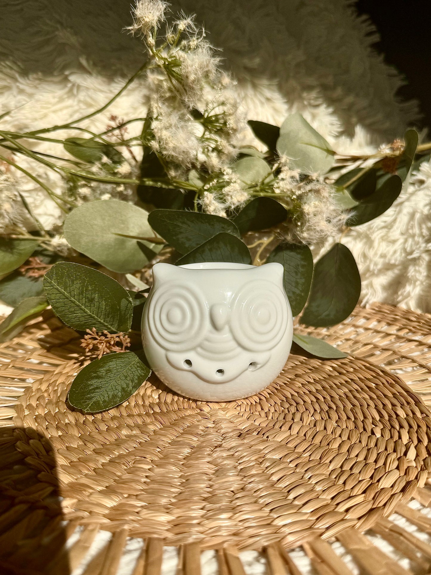 🎁 Pack iniciación wax melts