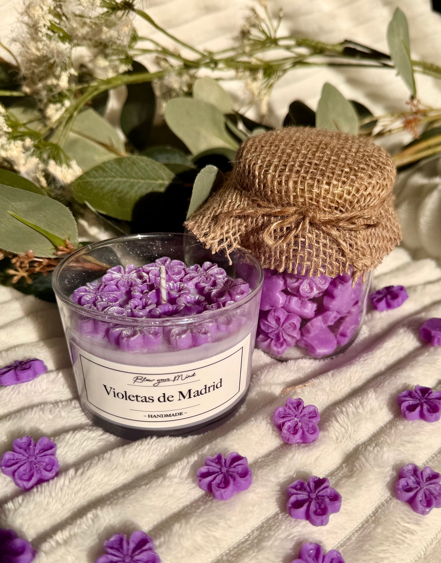 Pack Violetas de Madrid