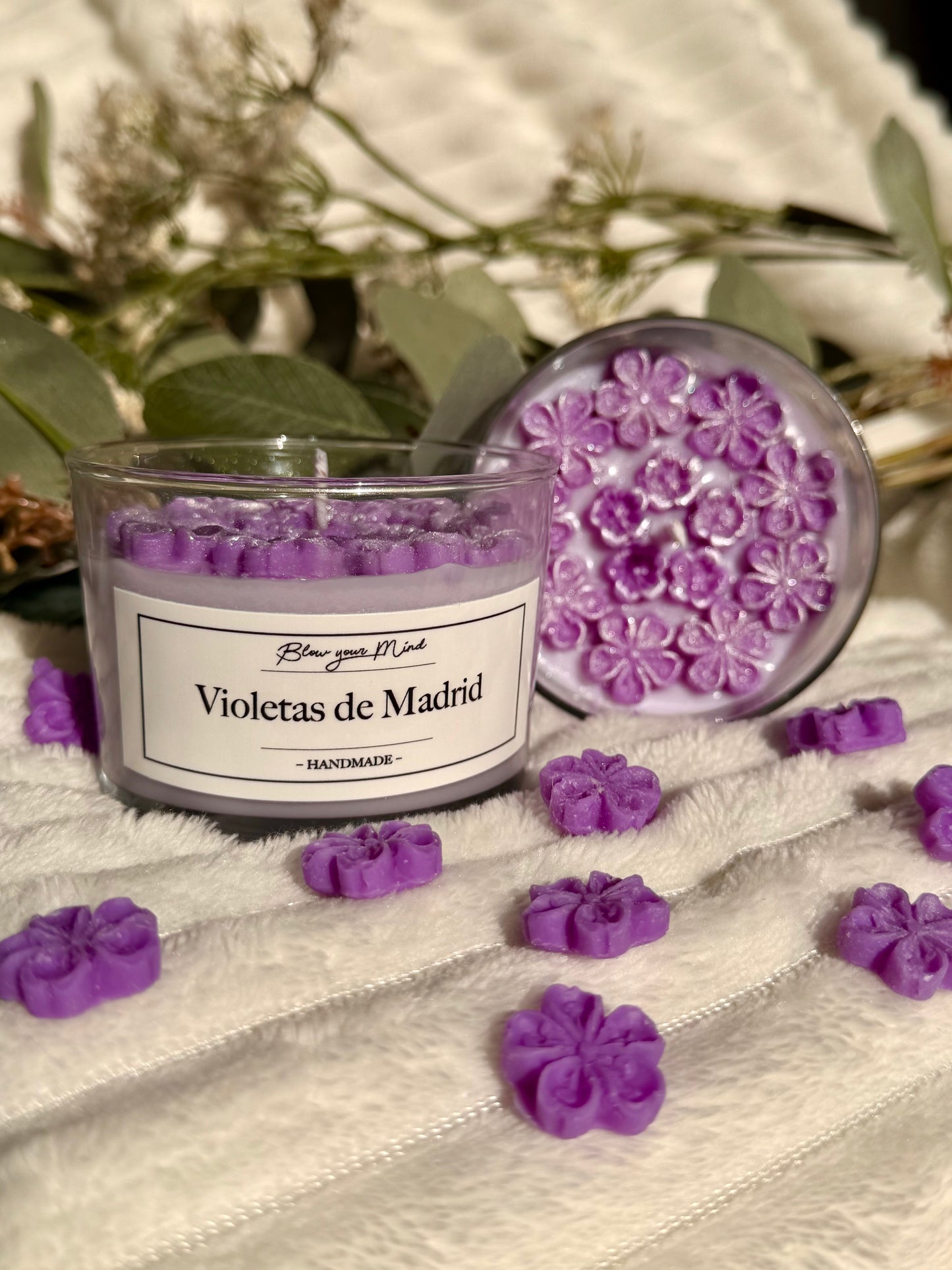 Pack Violetas de Madrid