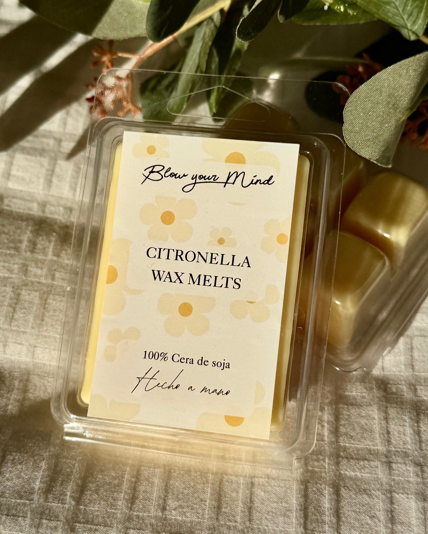 Wax melt Citronela