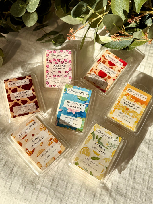 Pack wax melts GRANDES - Aromas especiales