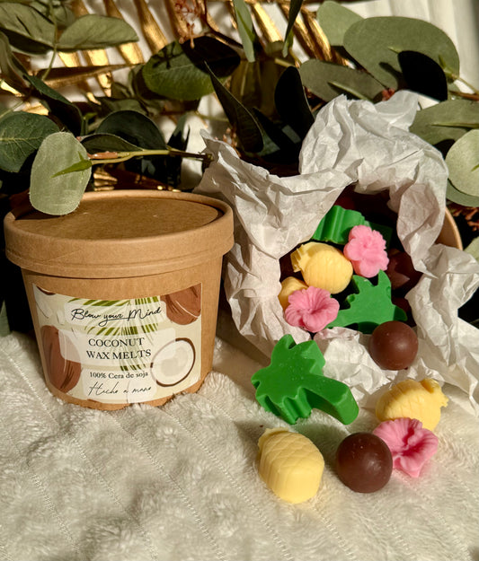 Wax melts Piña Colada