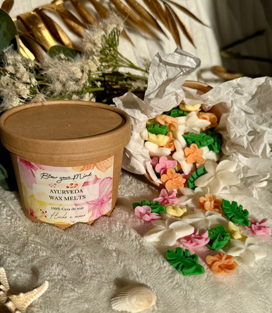 Wax melts Ayurveda