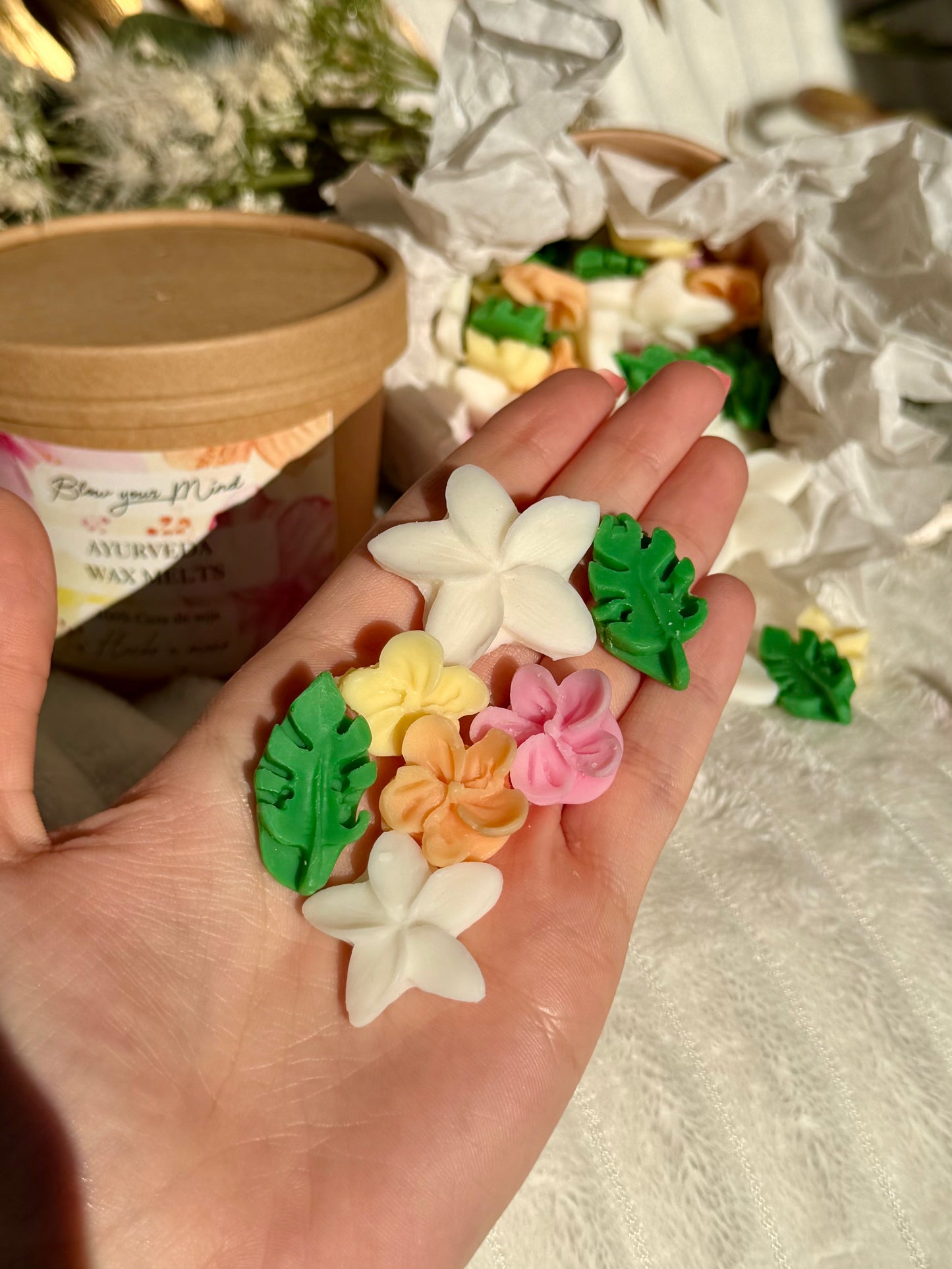 Pack Wax Melts Verano ☀️