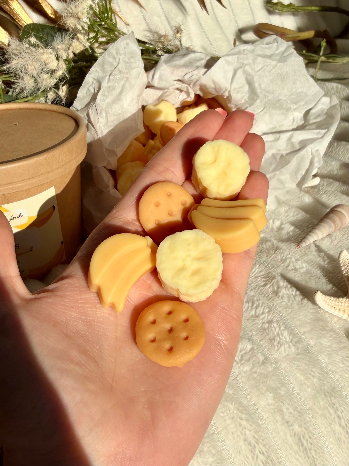Pack Wax Melts Verano ☀️