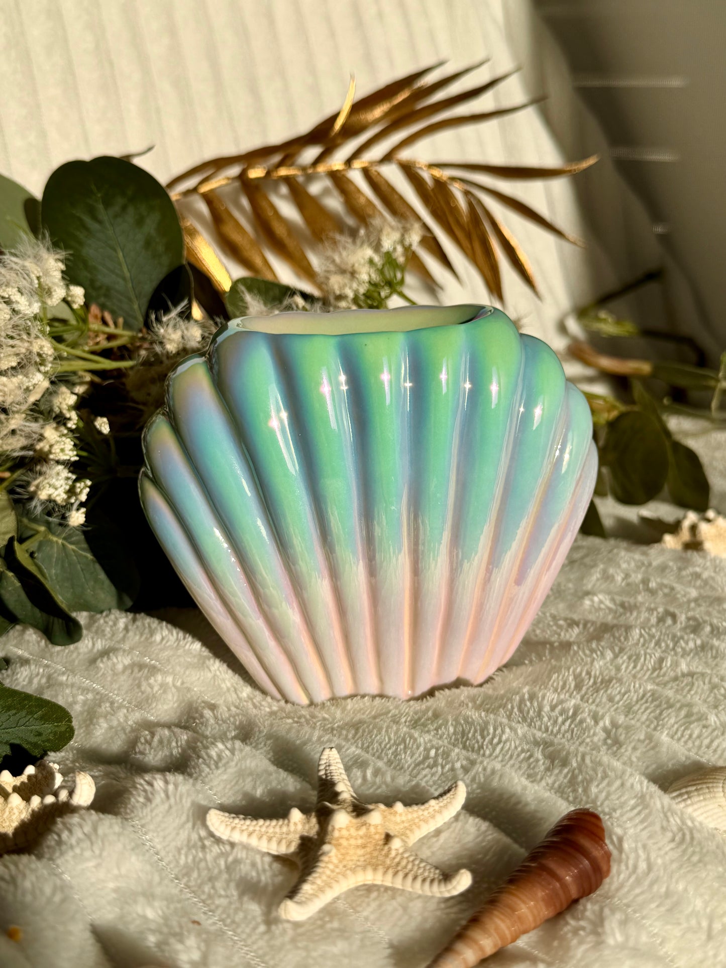 Quemador Concha Sirena